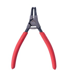 خارجمع کن سر کج توسن